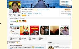 最新平板发布会爆料新闻,揭秘最新平板发布会重磅爆料！